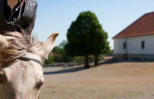 Pony Riding - Gundagai