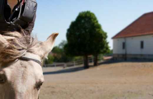 Pony Riding - Torres Strait Island