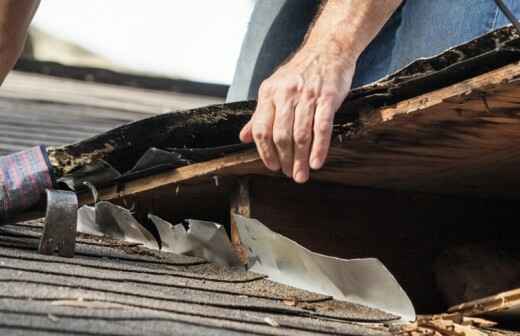 Mold Inspection and Removal - Bathroom