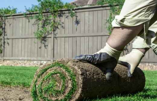 Sod Installation - Synthetic