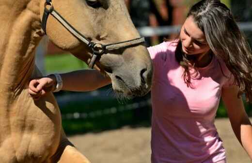 Animal Training and Behavior Modification (Non-canine) - Rider