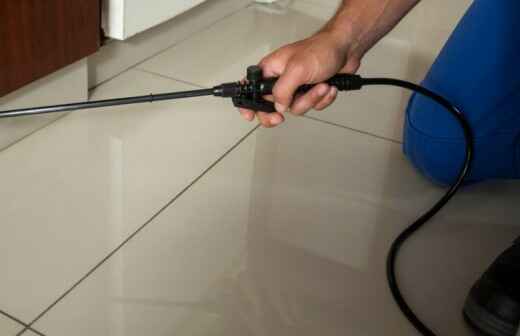 Bed Bug Extermination - Loppers