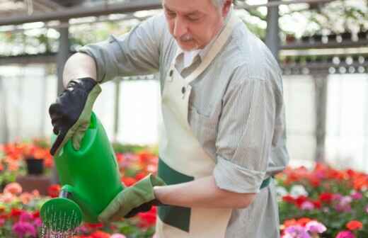 Plant Watering and Care