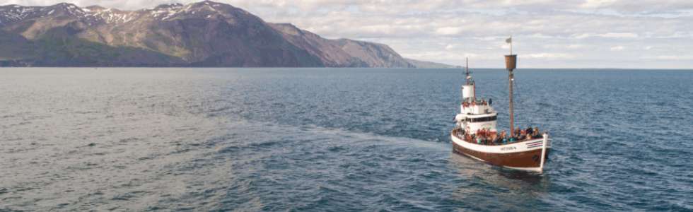 Full Tide Ocean Safaris - Fixando