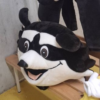 Robin - Fixando Schweiz