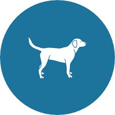 SitzPlatzPfote.ch - Pet Sitting - Staufen