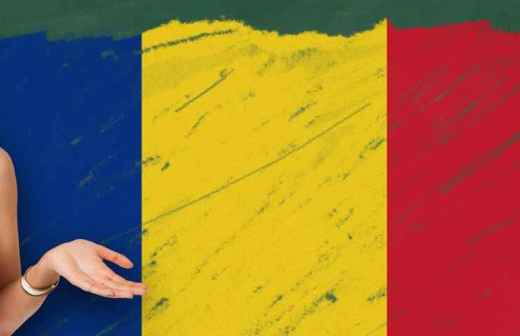 Rumänisch Übersetzung - Dolmetscher