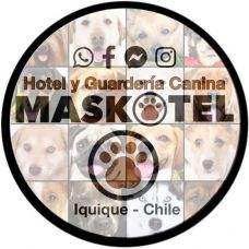 MASKOTEL - Fixando Chile
