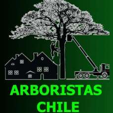 Arboristas Chile - Fixando Chile