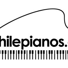Chilepianos - Reparación y soporte técnico - Otros equipos - Maipo
