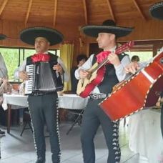 Servicio de serenatas con Mariachis a Domicilio - Fixando Chile