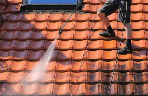 Limpieza de tejados - Algas