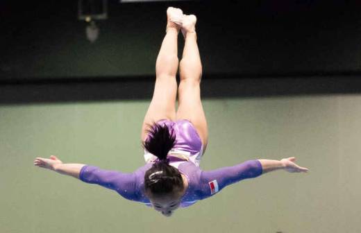 Clases de Gimnasia - Gimnasia