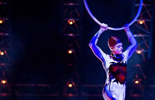 Circus Act - Sal