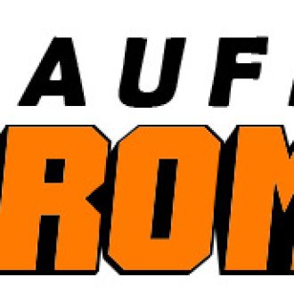 AufBau Romde - Maler - Dresden