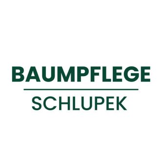 Baumpflege Schlupek - Gartenarbeiten - Ravensburg