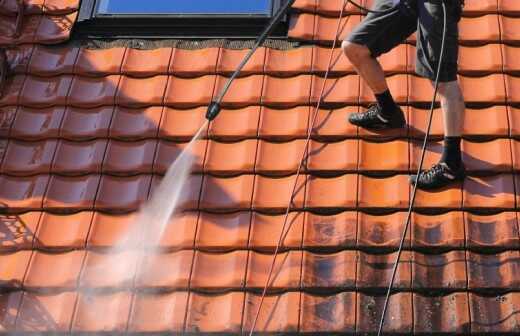 Roof Cleaning - Ha