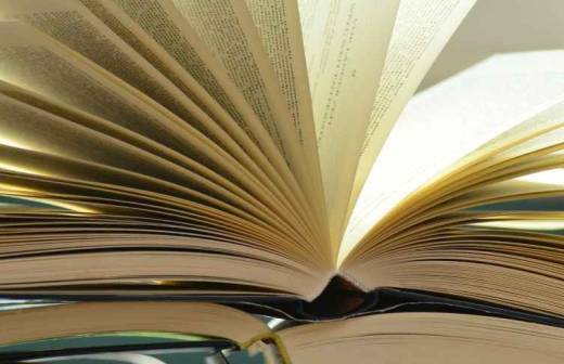 Mandarinnachhilfe - Rostock