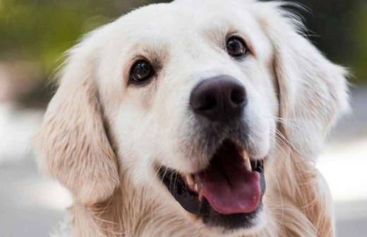 Tierernährung - Suhl