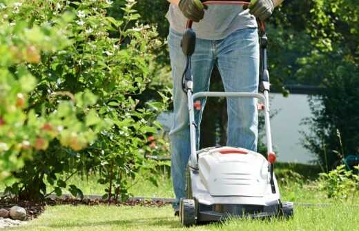 Rasenpflege - Kompletter Rundum-Service (regelmäßig) - Gartenarbeiten