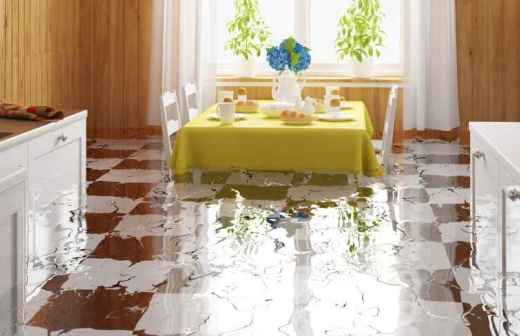 Reinigung und Instandsetzung nach einem Wasserschaden - Hurrikan