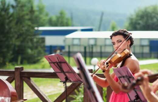 Klassikband für Hochzeiten - schwalm-eder-kreis