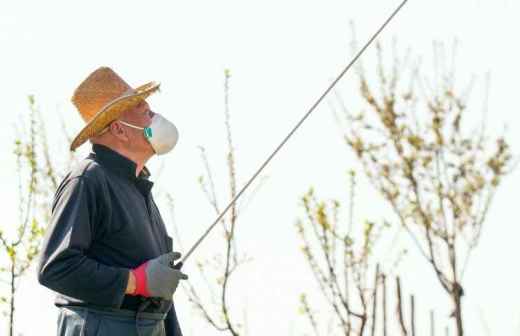 Aplicación de pesticidas en exteriores - Ofensa