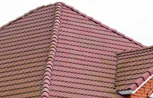 Clay Tile Roofing - Ha