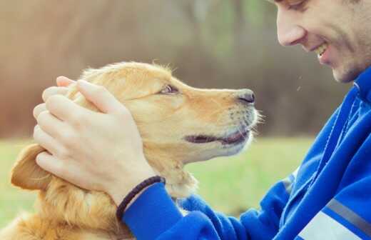 Haustierbetreuung - Hundetraining