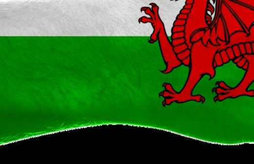 Welsh Translation - Chinese-English