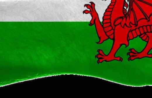 Walisisch Übersetzung - Norwegisch-Englisch