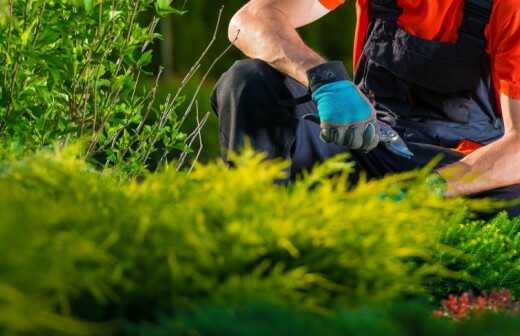 Gartenarbeit - Mit Rasen Bedecken