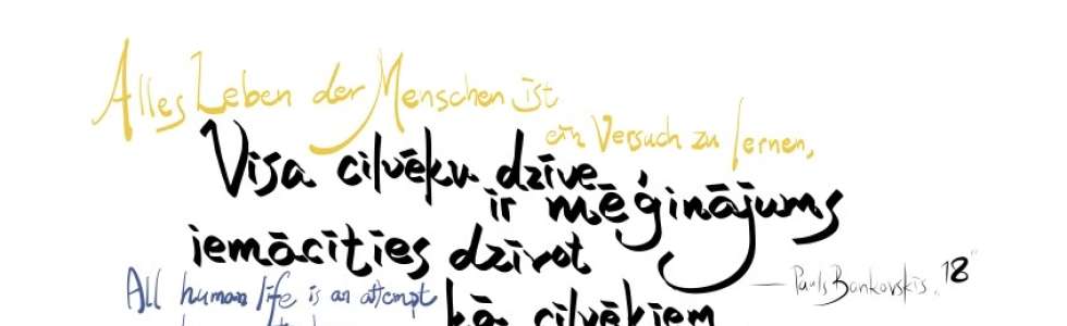 Andante Life Studio - Fixando