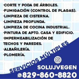 SOLUJVEGEN EIRL - Fixando República Dominicana