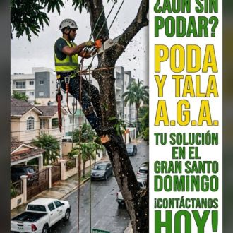Poda y tala de árboles A.G.A - Jardinería - Boca Chica