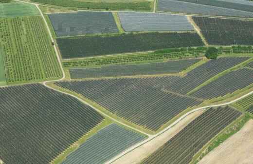 Fotografía aérea - veron-punta-cana