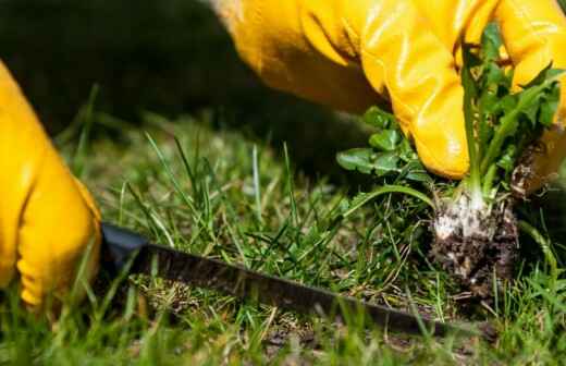 Weeding - Garden
