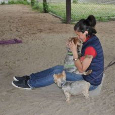 Maestra Canina - Adiestramiento de perros - Pinto