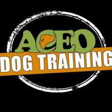 ACEO Madrid - Adiestramiento de perros - Robregordo