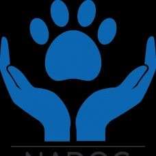 Escuela Canina NADOG - Entrenamiento de animales - Manises