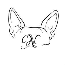 Alfa Psicología Canina - Entrenamiento de animales - Sils