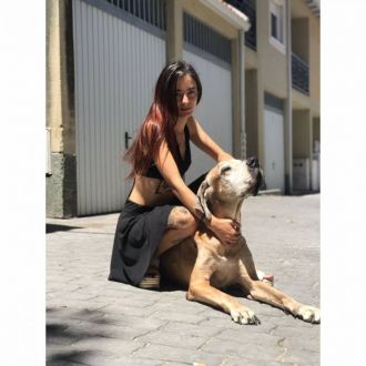 Angeles - Cuidado y peluquería para mascotas - M