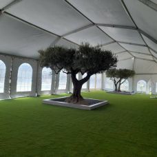 Carpatop Eventos - Alquiler de estructuras para eventos - Fonelas