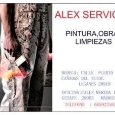 ALEX SERVICIOS - Paredes, marcos y escaleras - Madrid