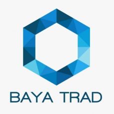 BAYA TRAD - Asesoramiento - Marketing digital - Madrid