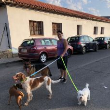 Anamaria brisc - Adiestramiento de perros - La Hiruela