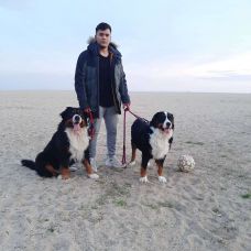 Bernamixtime - Adiestramiento de perros - Vilassar de Mar