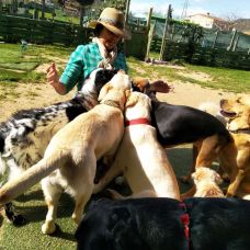Happy animales - Adiestramiento de perros - Vilanova del Camí