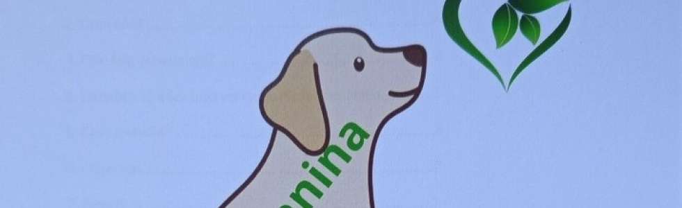 CanGosPerro, Escola Canina - Fixando