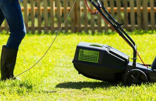 Lawn Mowing and Trimming - Rake